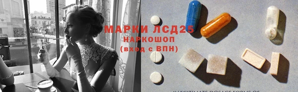 прущие грибы Алзамай