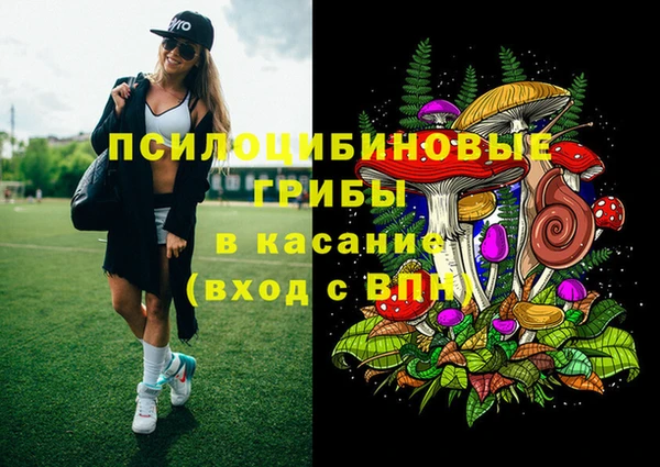 прущие грибы Алзамай