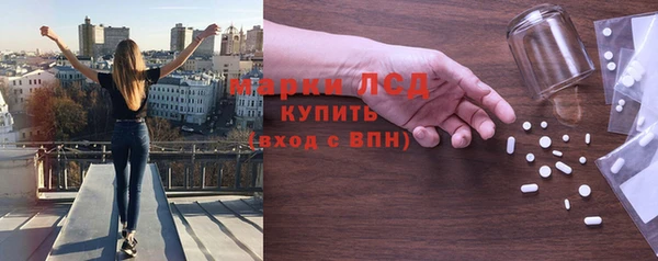 прущие грибы Алзамай